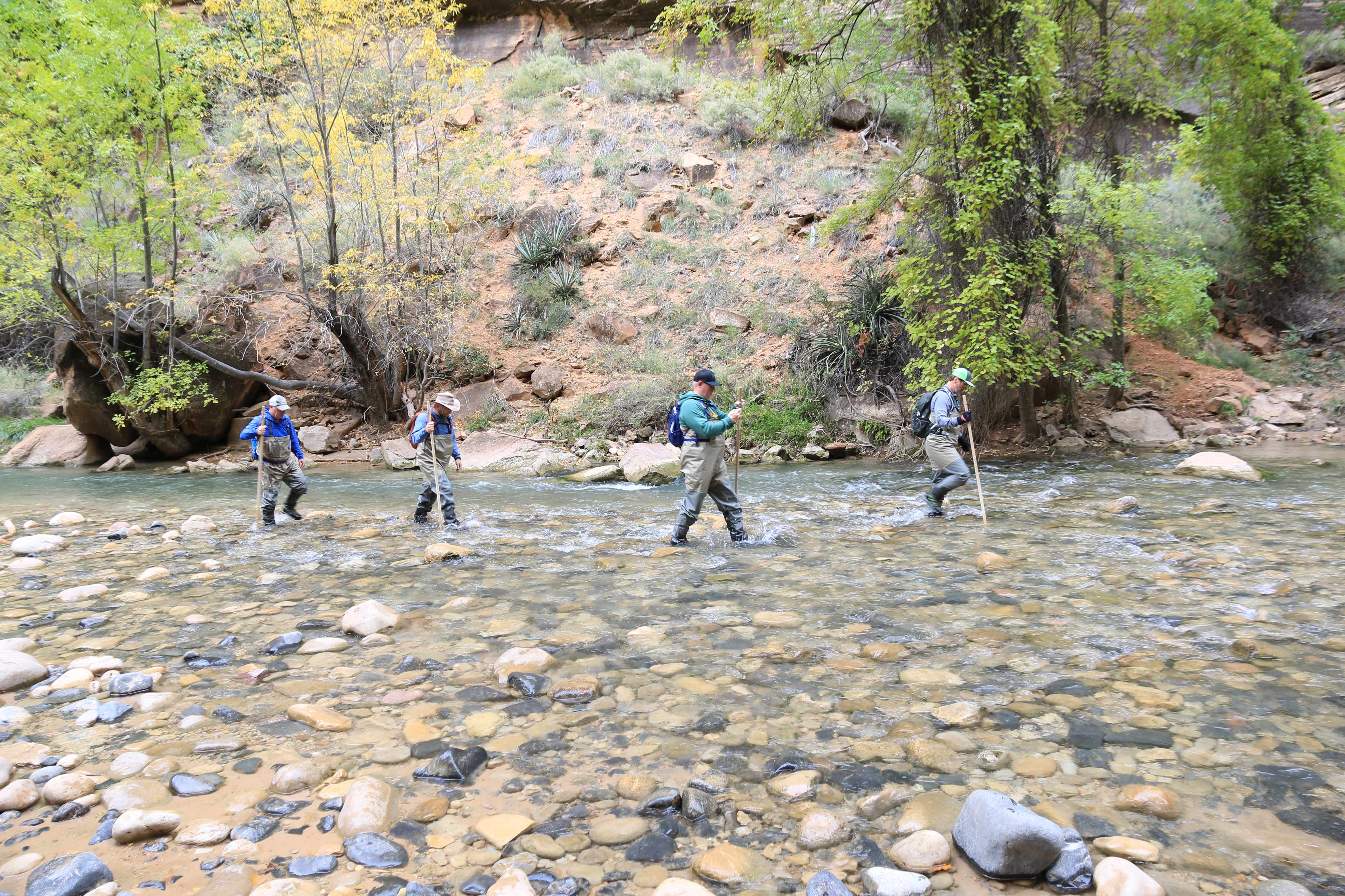 Zion NP